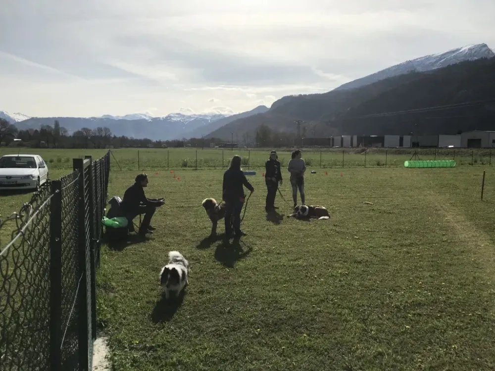 Pension canine à Ayse