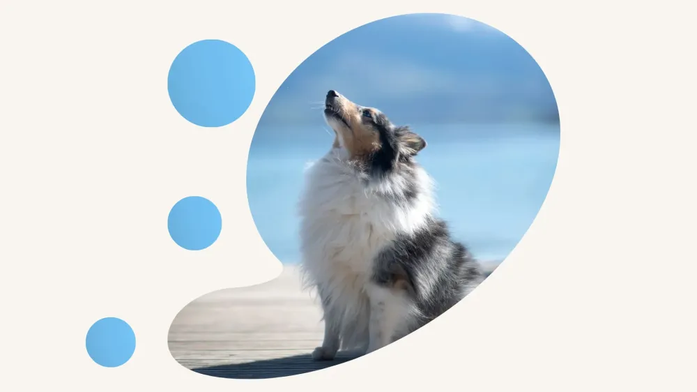 Design sans titre (2)