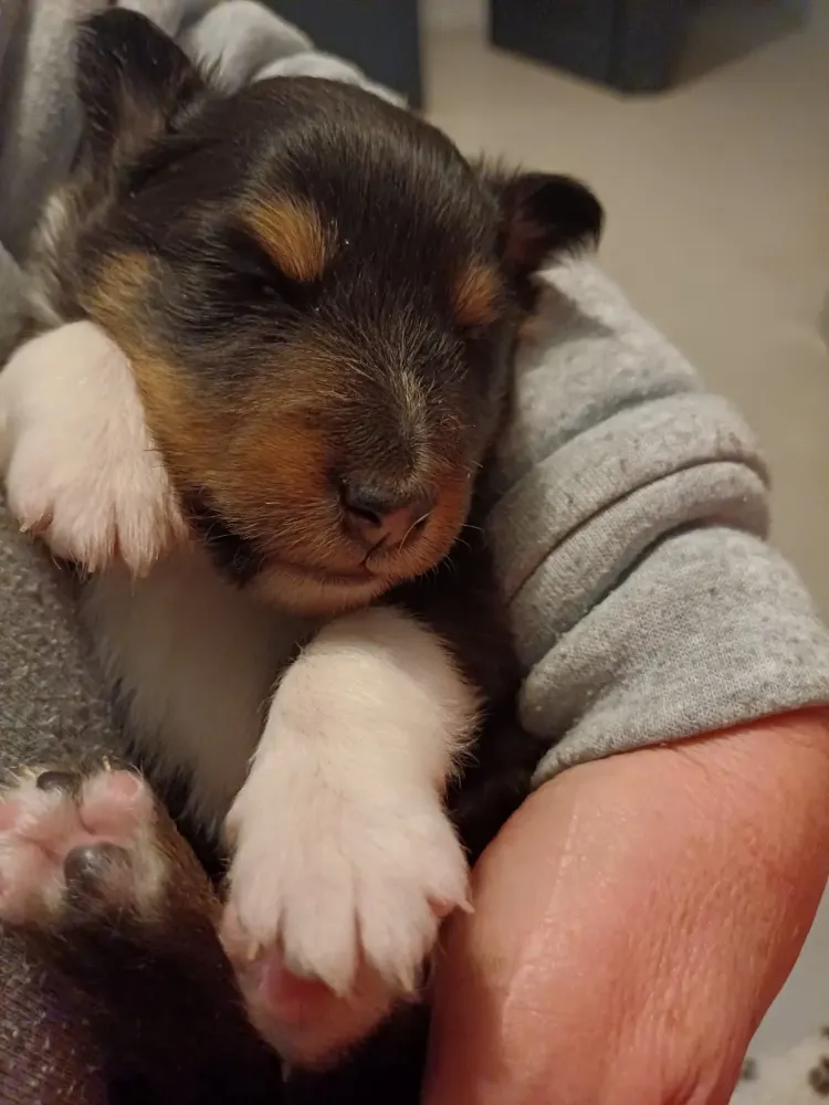 20260123_200249000_iOS